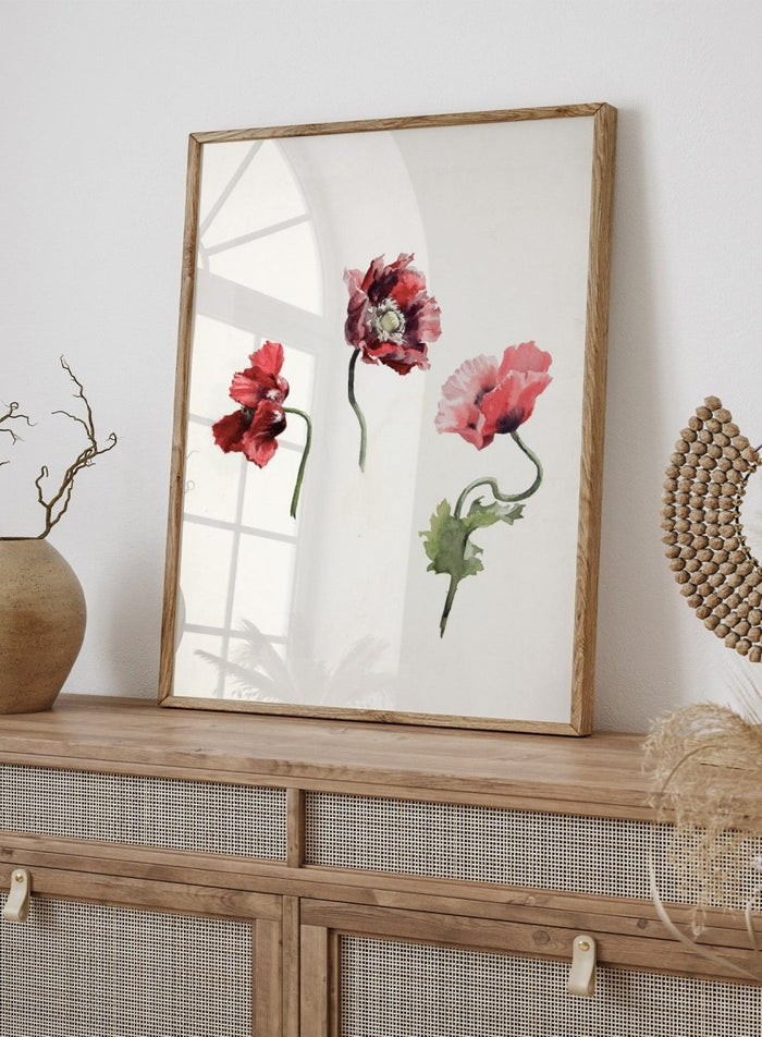 Poppy Flowers by Lilly Walther is a vintage botanical print of three red and pink poppies in watercolor, a floral wall art print for any room.