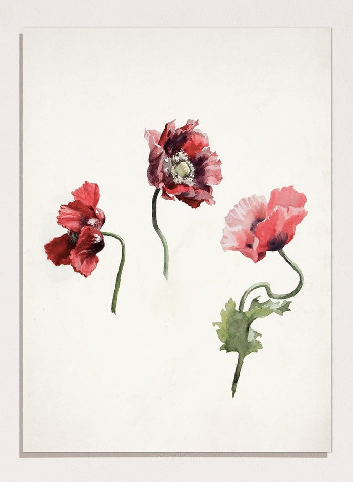 8x10 inches/20x25cm / Unframed Print Only