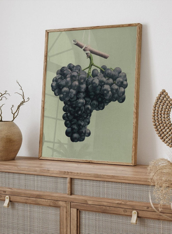 "Prize Black Alicante Grapes" Art Print_Sugar & Canvas_Louis Prang & Co