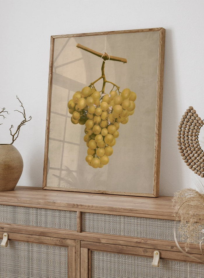 "Prize Golden Hamburg Grapes" Art Print_Sugar & Canvas_Louis Prang & Co