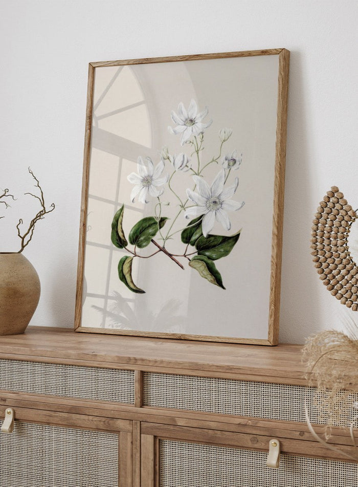 "Puawananga: Clematis Indivisa" Art Print_Sugar & Canvas_Sarah Featon