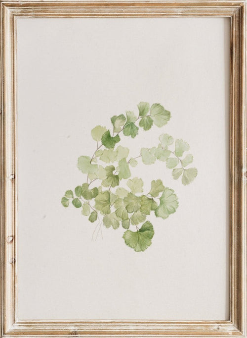 "Puccoon" Art Print_Sugar & Canvas_Mary Vaux Walcott