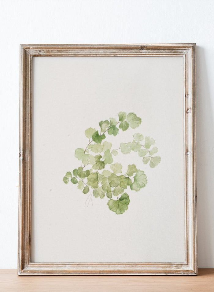 "Puccoon" Art Print_Sugar & Canvas_Mary Vaux Walcott