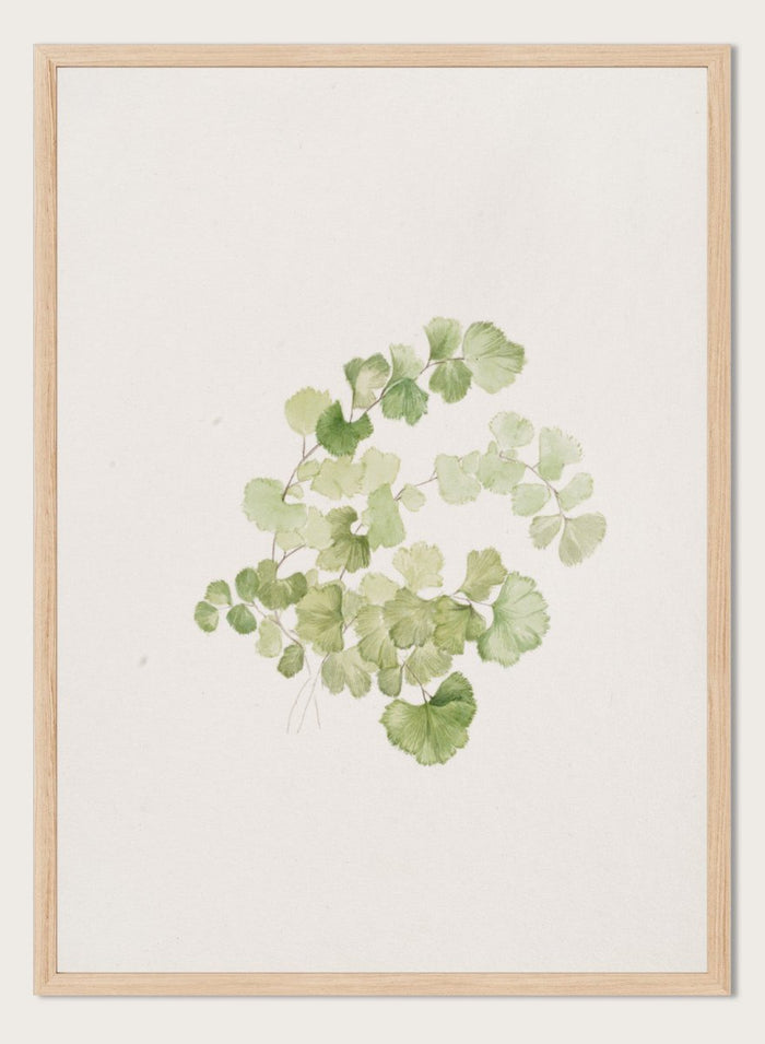 "Puccoon" Art Print_Sugar & Canvas_Mary Vaux Walcott