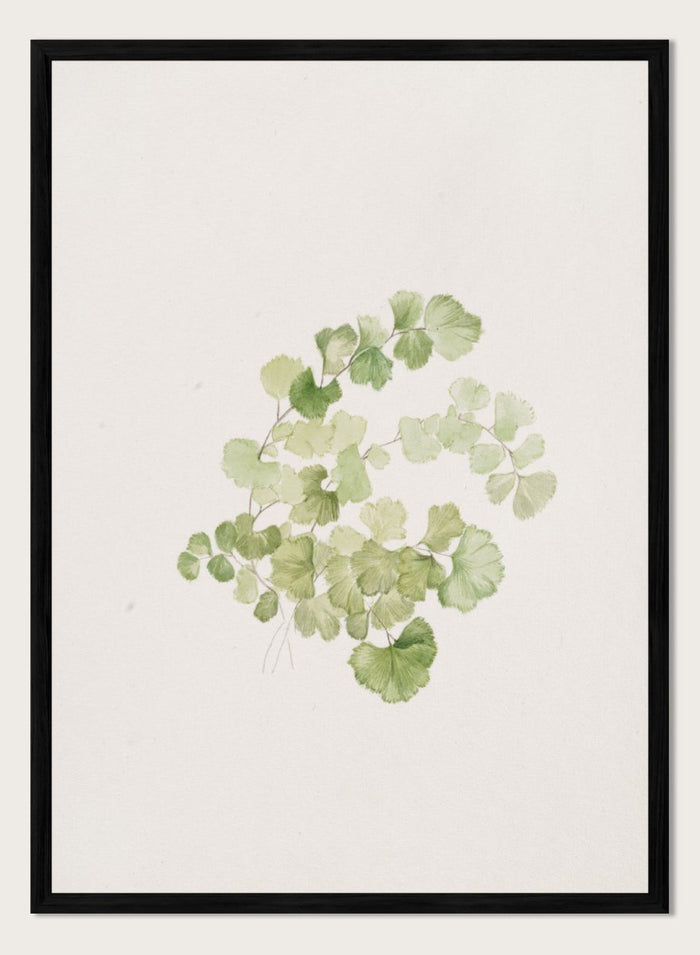 "Puccoon" Art Print_Sugar & Canvas_Mary Vaux Walcott