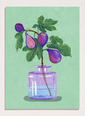 Illustration of a plant with purple fruits in a glass bottle on a green background. Figs Branch In Vase by Raissa Oltmanns is a modern fig still life art print with purple fruit and botanical kitchen wall poster design.