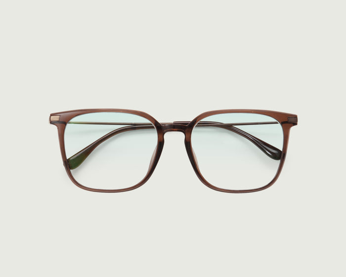 Whiskey::Reeves Anti-Radiation Glasses Square BROWN recycled polyester top