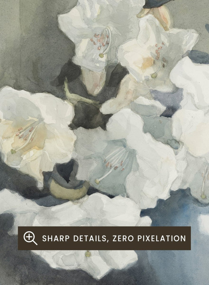 "Rhododendron Fragrantissima" Art Print_Sugar & Canvas_Dorothy Kate Richmond