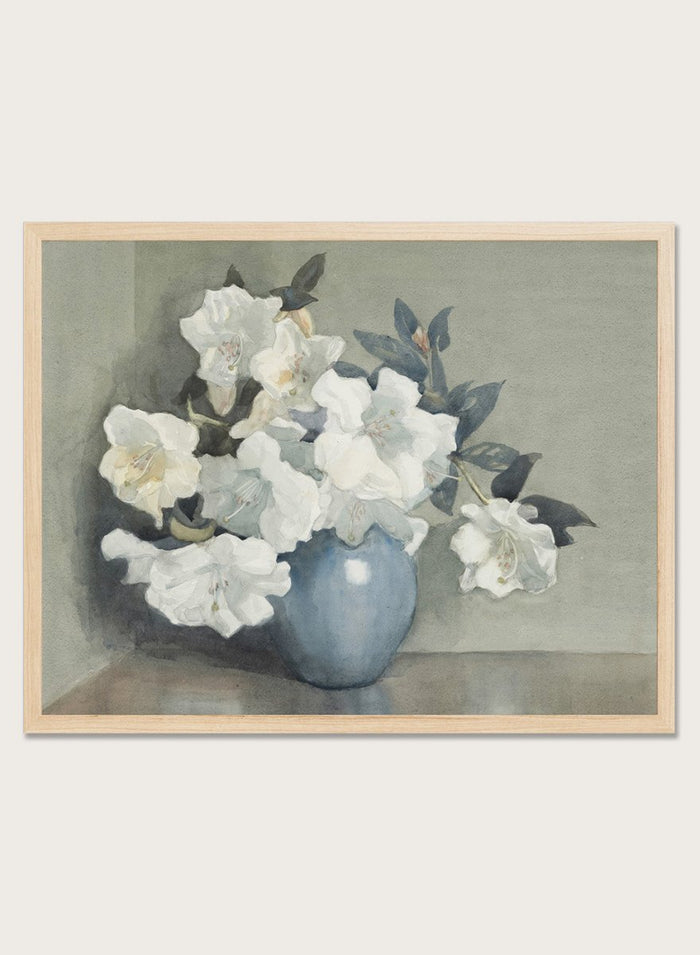 "Rhododendron Fragrantissima" Art Print_Sugar & Canvas_Dorothy Kate Richmond