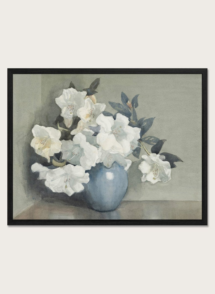 "Rhododendron Fragrantissima" Art Print_Sugar & Canvas_Dorothy Kate Richmond
