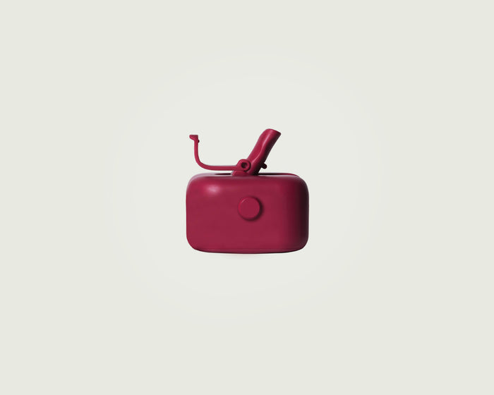 Boysenberry::Sunnies Flask  robo cap pink front