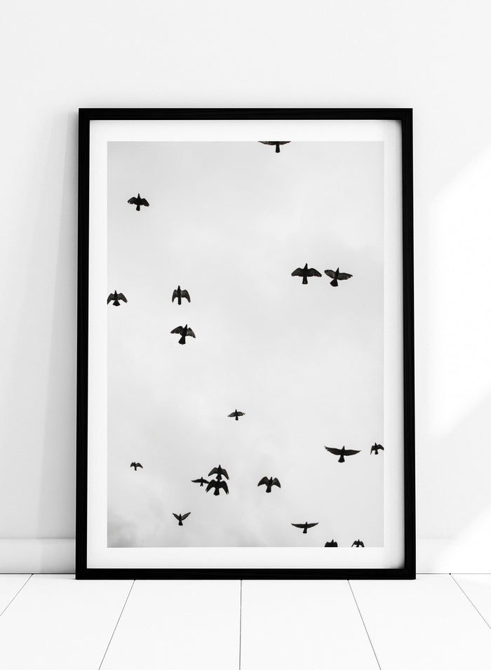 Shot by Clint - Birds in Flight Art Print_Sugar & Canvas_Shot by Clint
