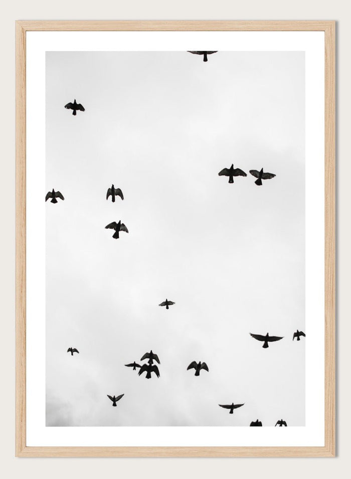 Shot by Clint - Birds in Flight Art Print_Sugar & Canvas_Shot by Clint