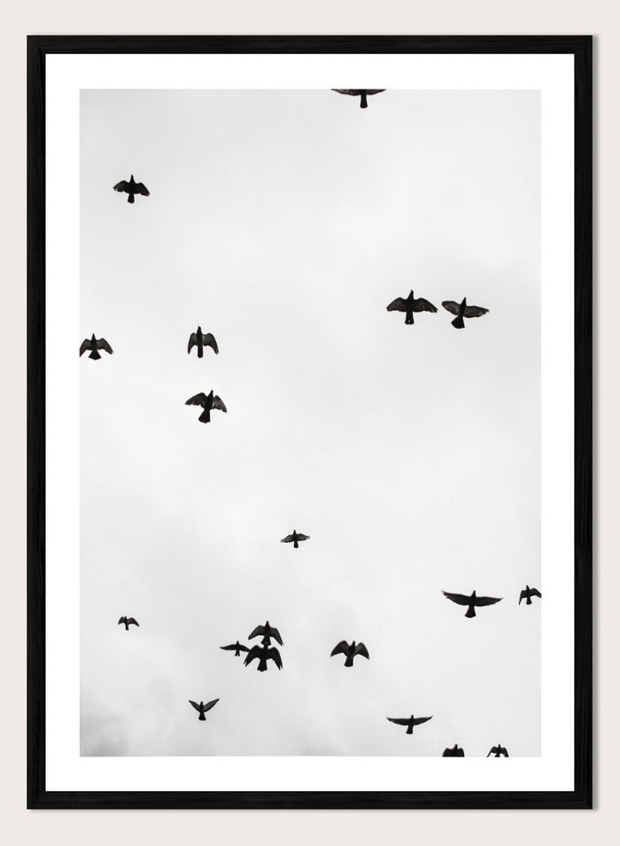 Shot by Clint - Birds in Flight Art Print_Sugar & Canvas_Shot by Clint