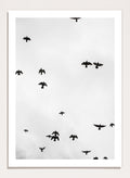 Shot by Clint - Birds in Flight Art Print_Sugar & Canvas_Shot by Clint