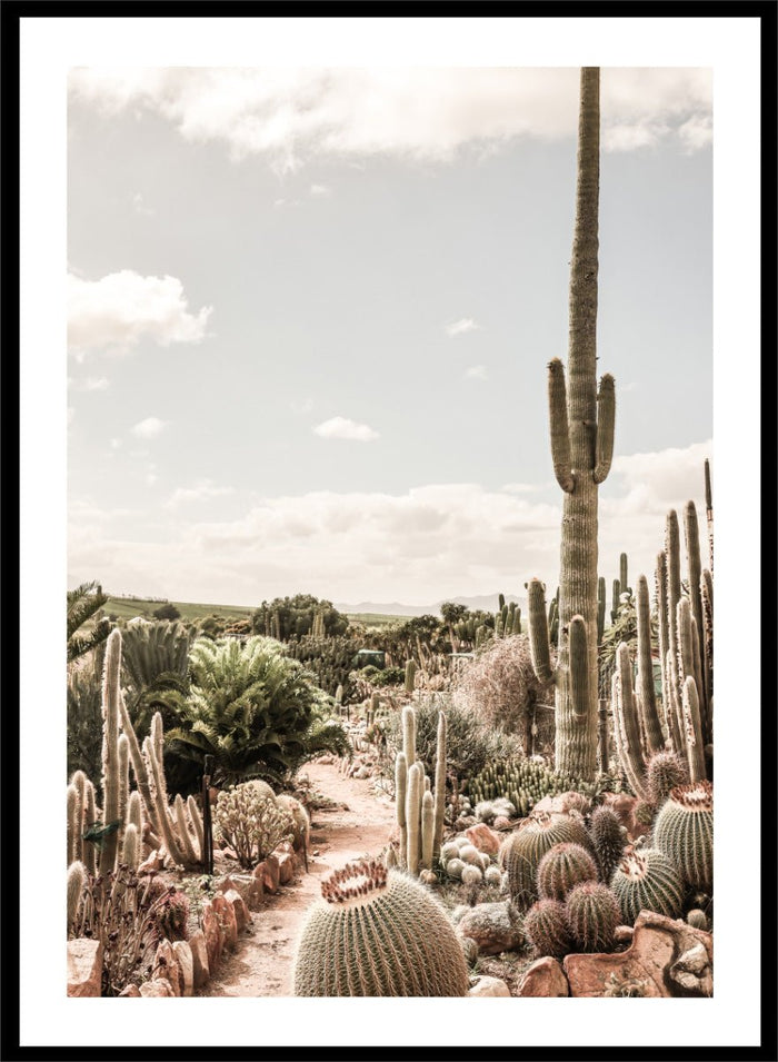 Shot by Clint - Cactus Farm Art Print_Sugar & Canvas_Shot by Clint