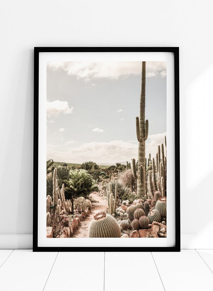 Shot by Clint - Cactus Farm Art Print_Sugar & Canvas_Shot by Clint