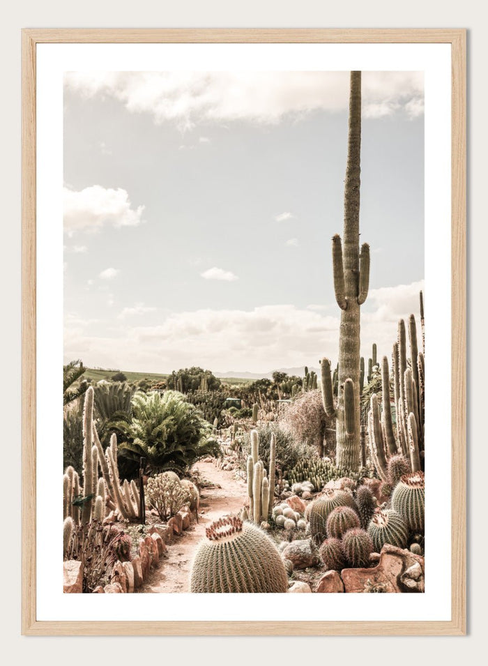 Shot by Clint - Cactus Farm Art Print_Sugar & Canvas_Shot by Clint