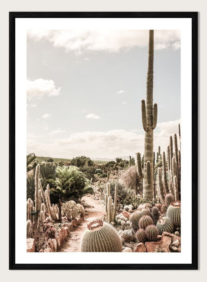 Shot by Clint - Cactus Farm Art Print_Sugar & Canvas_Shot by Clint