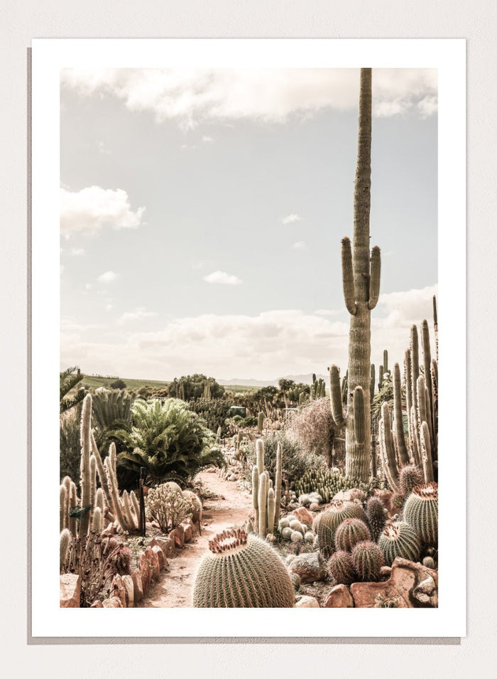 Shot by Clint - Cactus Farm Art Print_Sugar & Canvas_Shot by Clint