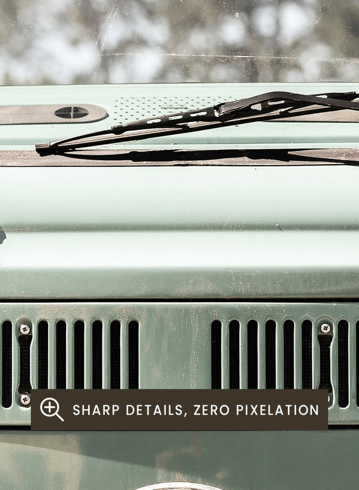 Shot by Clint - Classic Design In Soft Green Tones Cars Art Print_Sugar & Canvas_Shot by Clint