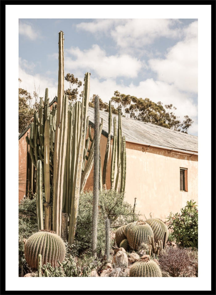 Shot by Clint - Desert Retreat Art Print_Sugar & Canvas_Shot by Clint