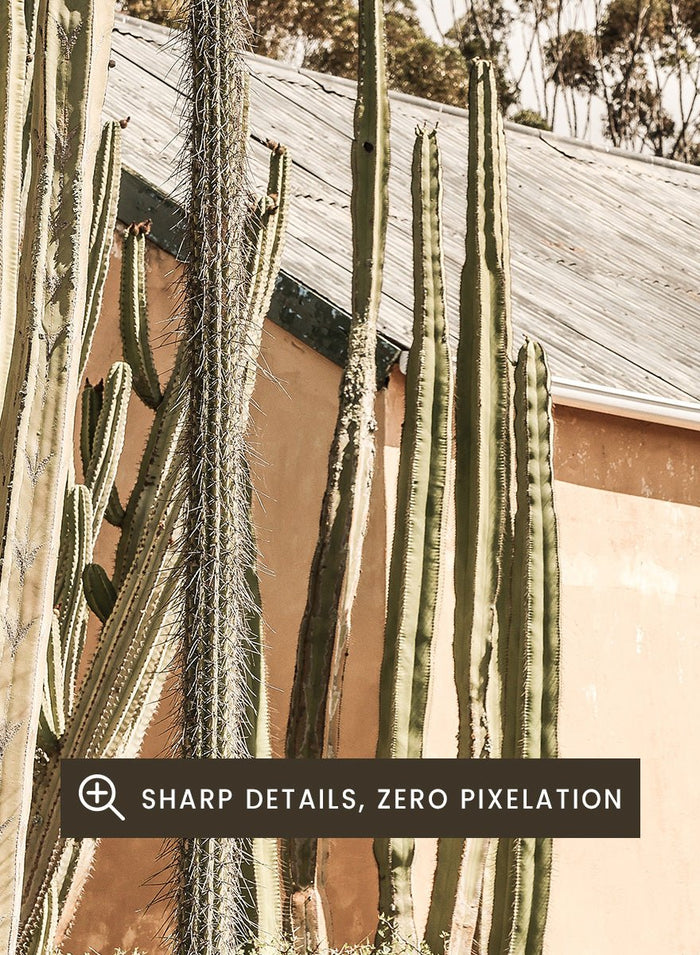 Shot by Clint - Desert Retreat Art Print_Sugar & Canvas_Shot by Clint