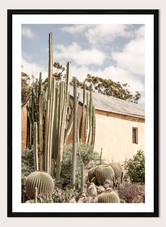 Shot by Clint - Desert Retreat Art Print_Sugar & Canvas_Shot by Clint