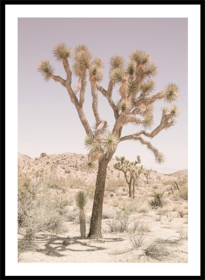 Shot by Clint - Desert Serenity Art Print_Sugar & Canvas_Shot by Clint