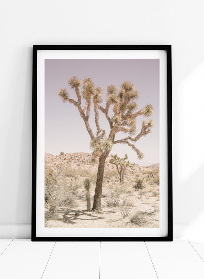Shot by Clint - Desert Serenity Art Print_Sugar & Canvas_Shot by Clint