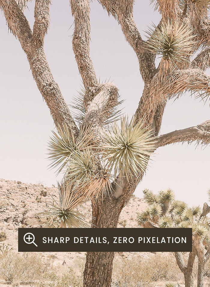 Shot by Clint - Desert Serenity Art Print_Sugar & Canvas_Shot by Clint