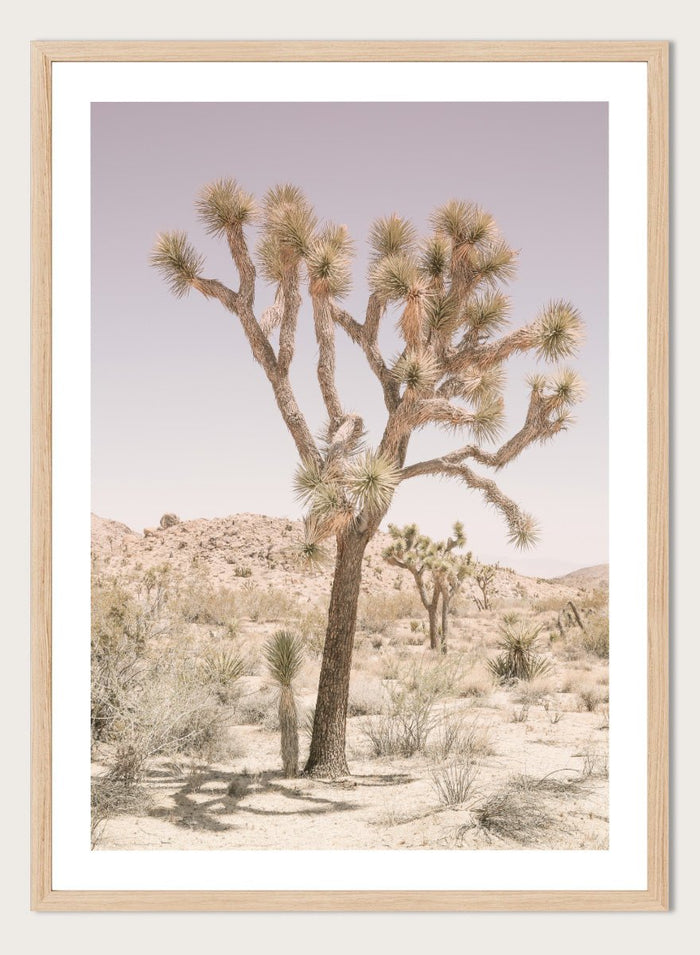 Shot by Clint - Desert Serenity Art Print_Sugar & Canvas_Shot by Clint