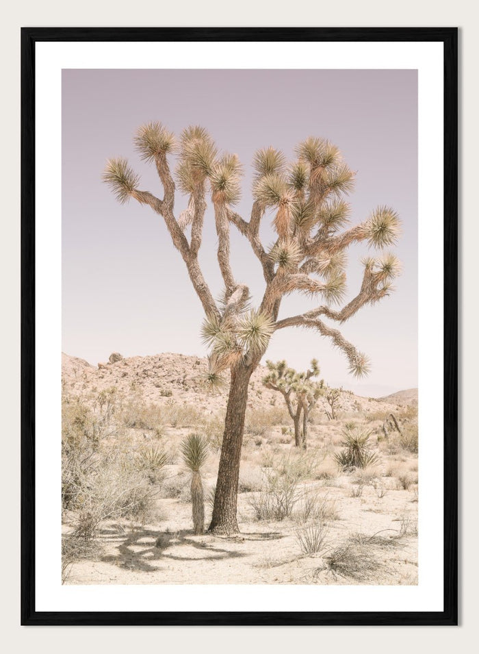 Shot by Clint - Desert Serenity Art Print_Sugar & Canvas_Shot by Clint