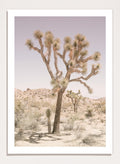 Shot by Clint - Desert Serenity Art Print_Sugar & Canvas_Shot by Clint