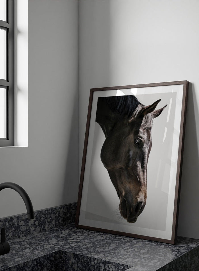 Shot by Clint - Gentle Equine Gaze Art Print_Sugar & Canvas_Shot by Clint
