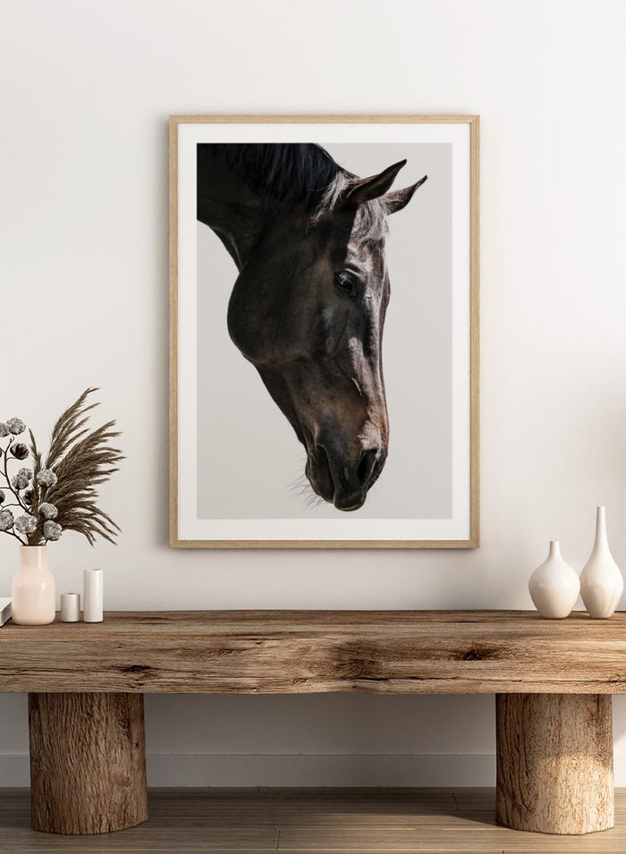 Shot by Clint - Gentle Equine Gaze Art Print_Sugar & Canvas_Shot by Clint