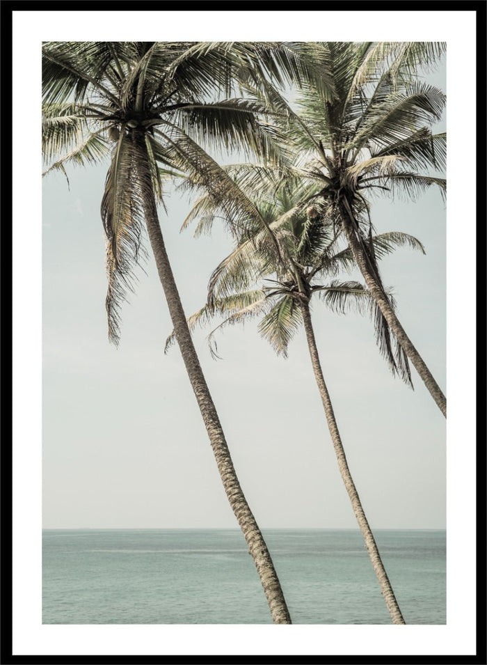 Shot by Clint - Ocean Breeze Palms Art Print_Sugar & Canvas_Shot by Clint