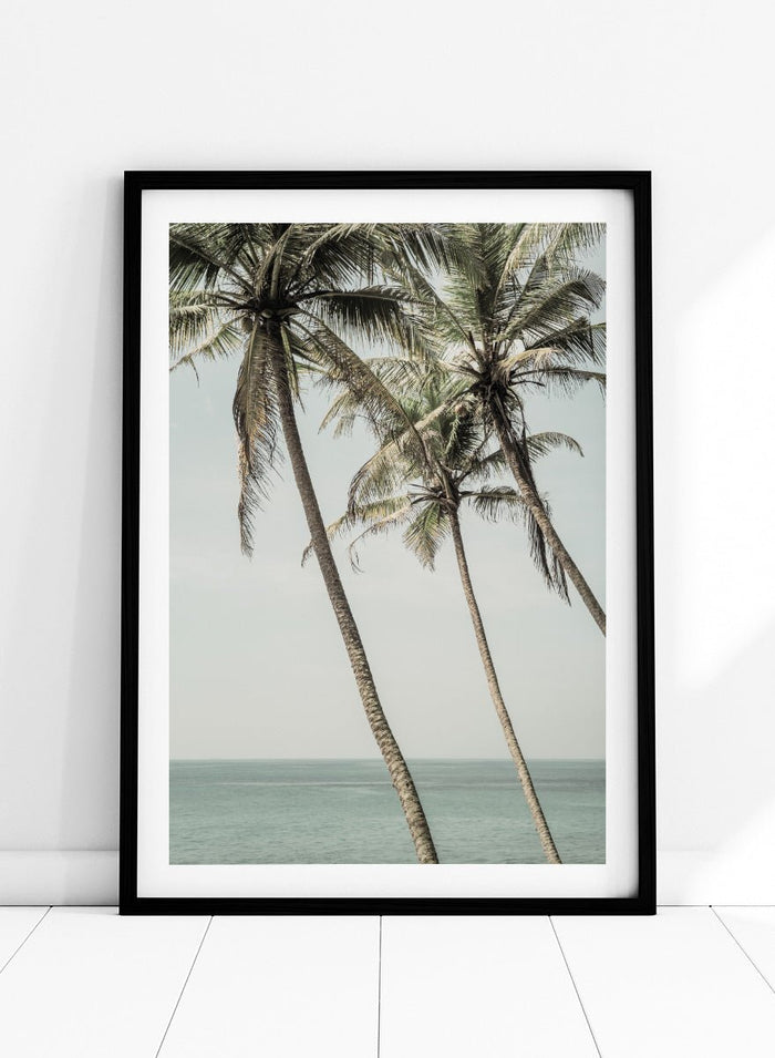Shot by Clint - Ocean Breeze Palms Art Print_Sugar & Canvas_Shot by Clint