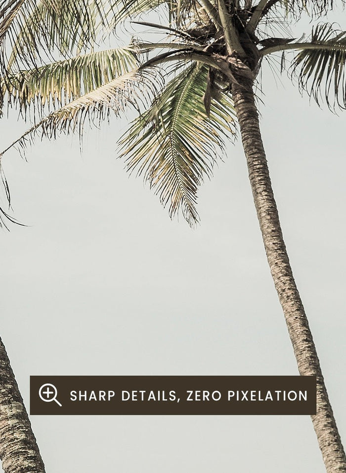 Shot by Clint - Ocean Breeze Palms Art Print_Sugar & Canvas_Shot by Clint