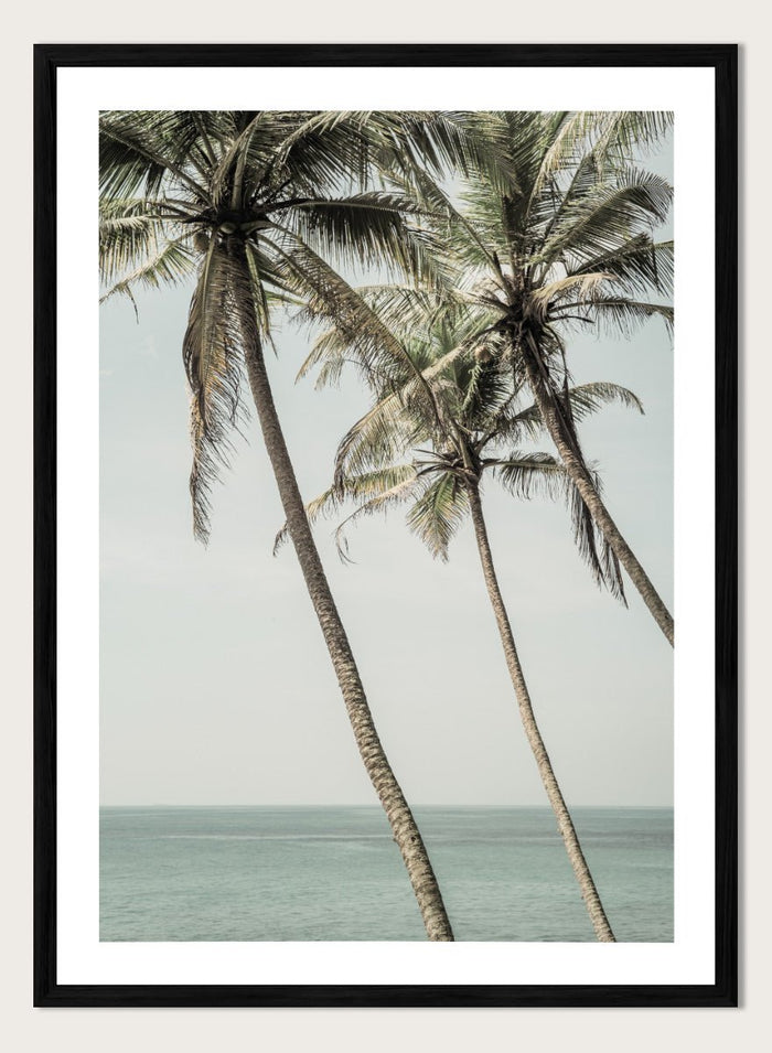 Shot by Clint - Ocean Breeze Palms Art Print_Sugar & Canvas_Shot by Clint