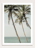 Shot by Clint - Ocean Breeze Palms Art Print_Sugar & Canvas_Shot by Clint