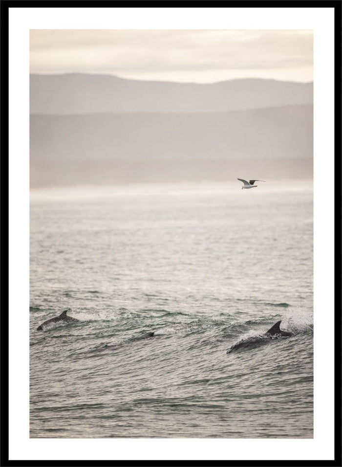 Shot by Clint - Ocean's Dance Art Print_Sugar & Canvas_Shot by Clint