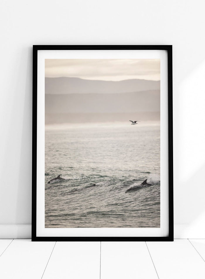Shot by Clint - Ocean's Dance Art Print_Sugar & Canvas_Shot by Clint
