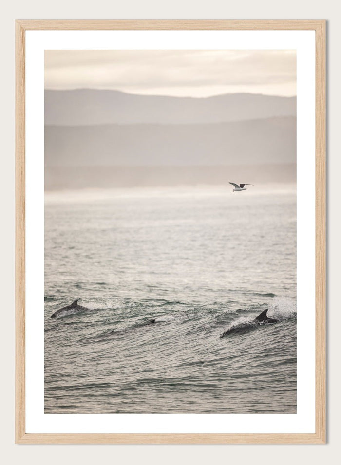Shot by Clint - Ocean's Dance Art Print_Sugar & Canvas_Shot by Clint