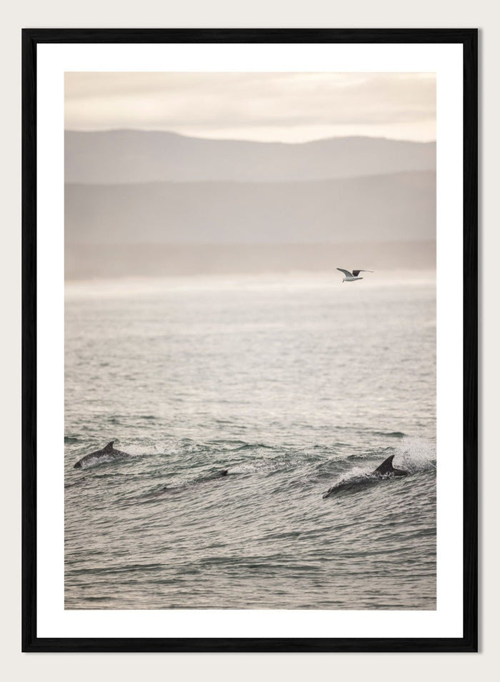 Shot by Clint - Ocean's Dance Art Print_Sugar & Canvas_Shot by Clint