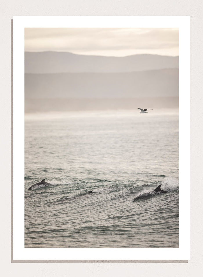 Shot by Clint - Ocean's Dance Art Print_Sugar & Canvas_Shot by Clint