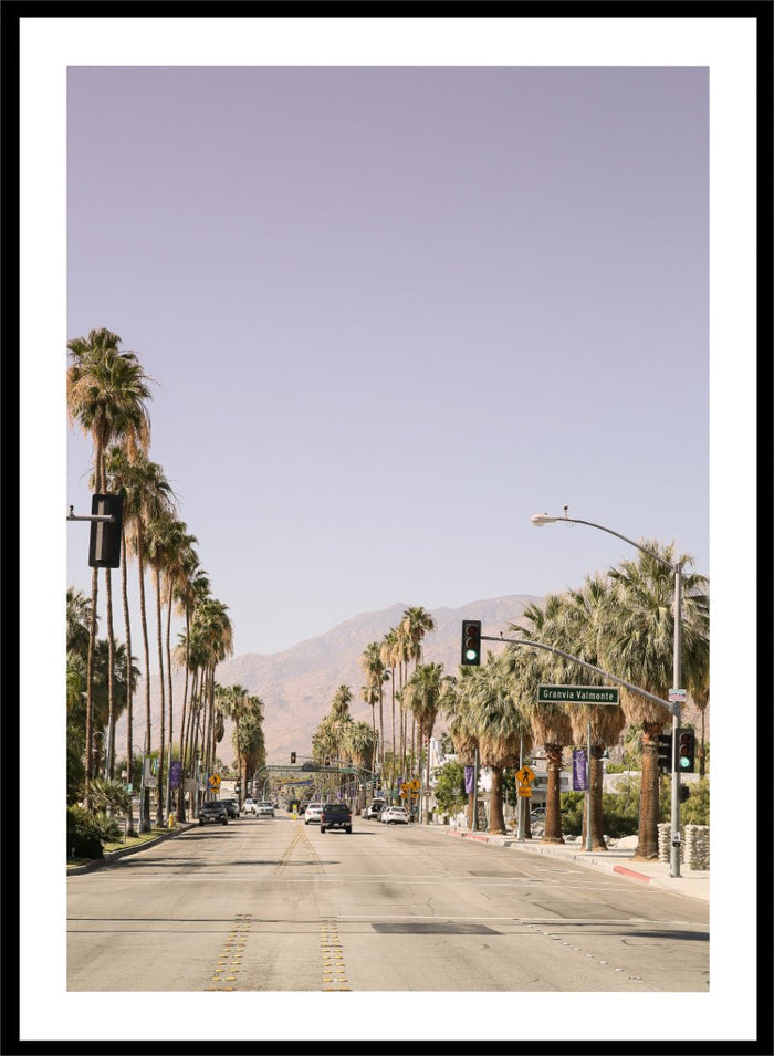 Shot by Clint - Palm-Lined Avenue Art Print_Sugar & Canvas_Shot by Clint