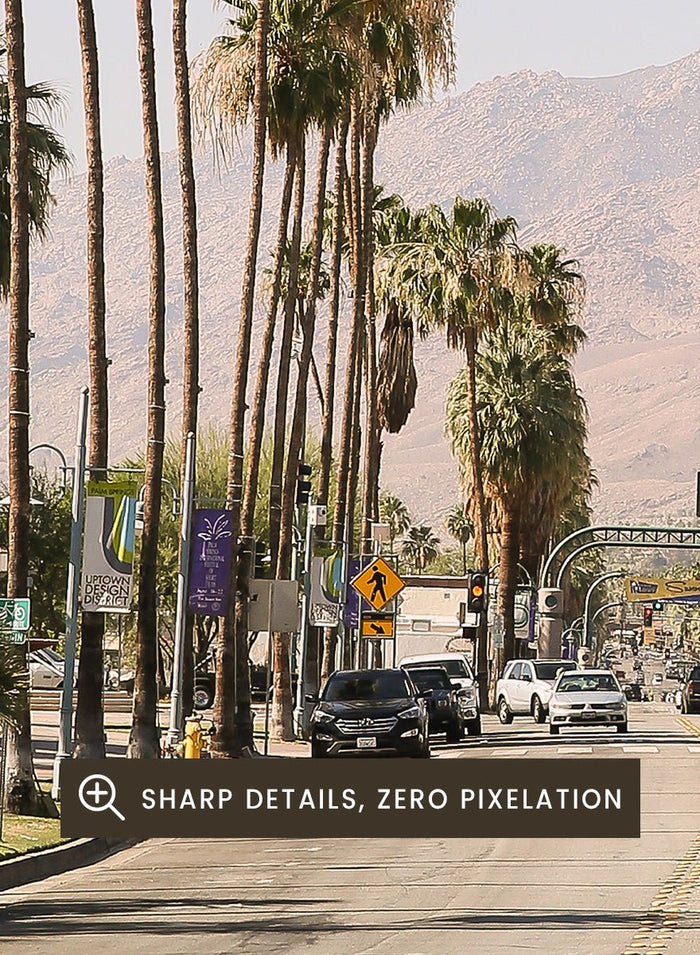 Shot by Clint - Palm-Lined Avenue Art Print_Sugar & Canvas_Shot by Clint