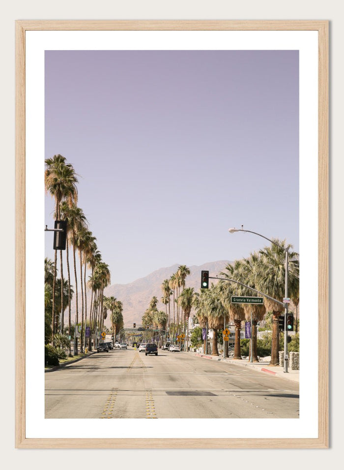 Shot by Clint - Palm-Lined Avenue Art Print_Sugar & Canvas_Shot by Clint