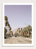 Shot by Clint - Palm-Lined Avenue Art Print_Sugar & Canvas_Shot by Clint